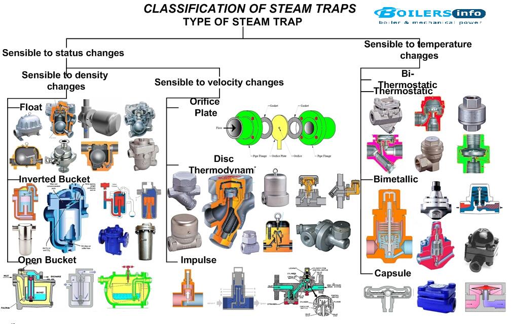 What Are Steam Trap Tags?