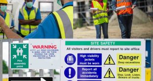 Workplace Health and Safety International Perspectives