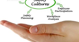 Safety Culture Assessing and Changing the Behaviour of Organisations